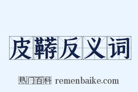 皮鞯反义词是什么意思的图片